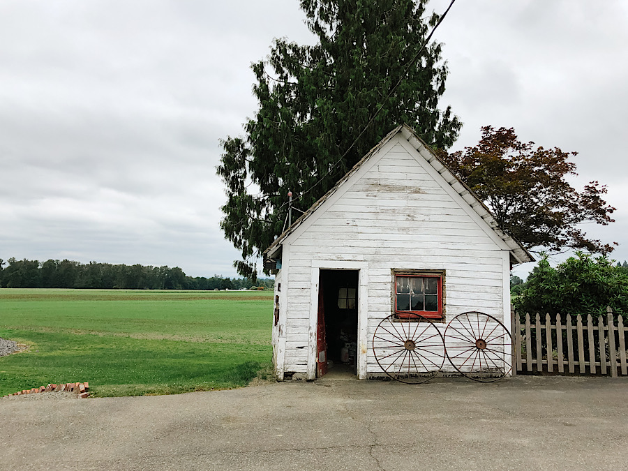 FB83CA08-BB39-4A60-B584-BF3CE5569FB8